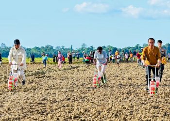 Indonesia Lumbung Pangan Dunia, Prabowo Akan Ubah 20 Juta Hektare Rawa Jadi Sawah