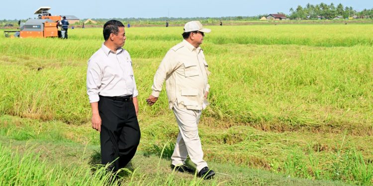 Membangun Ekosistem Swasembada Pangan