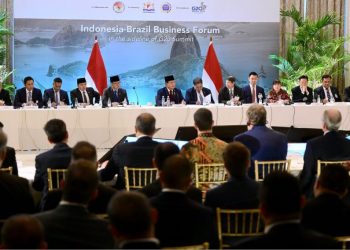 Presiden Prabowo Dorong Sinergi Ekonomi Indonesia-Brazil